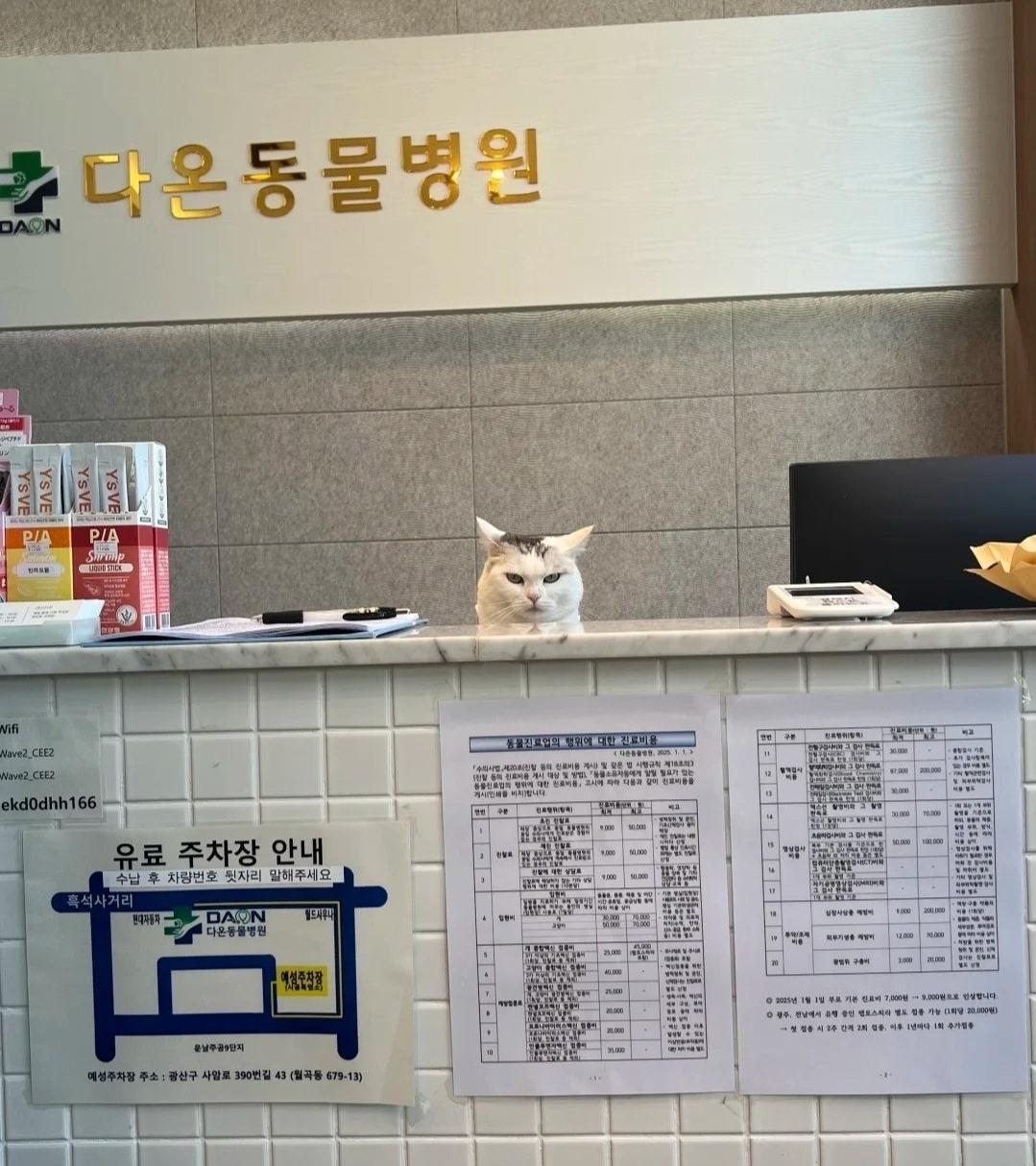Screenshot_20260403_152158_Naver Cafe.jpg