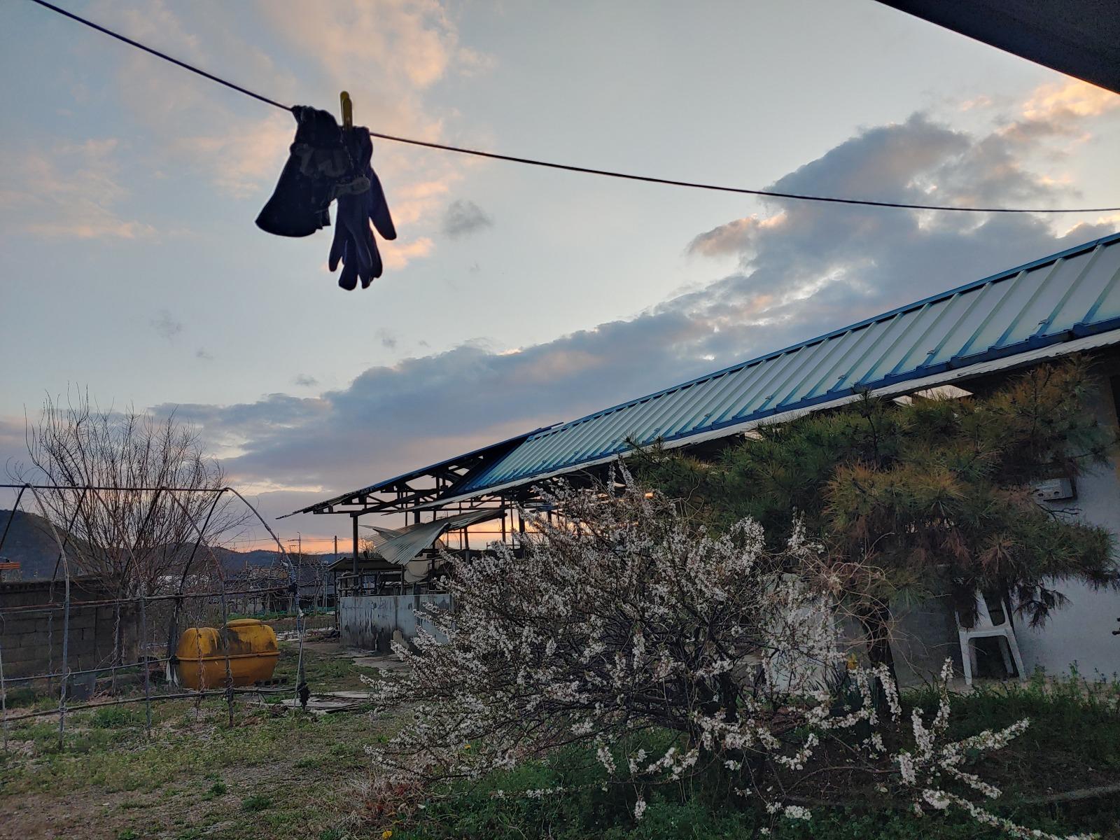 20260404_183108_HDR.jpg