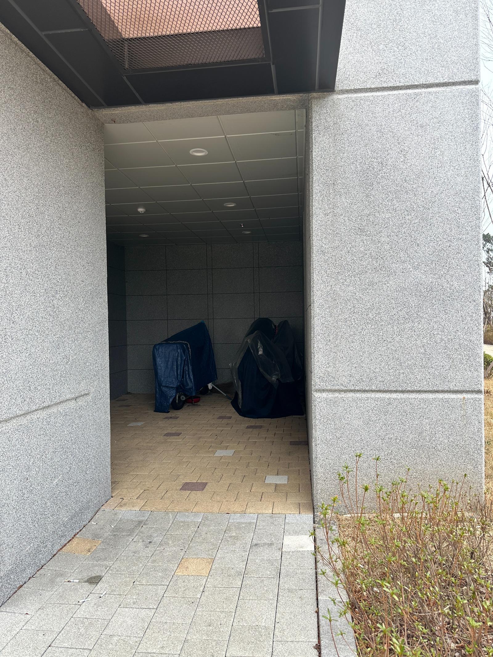 IMG_6470.jpeg