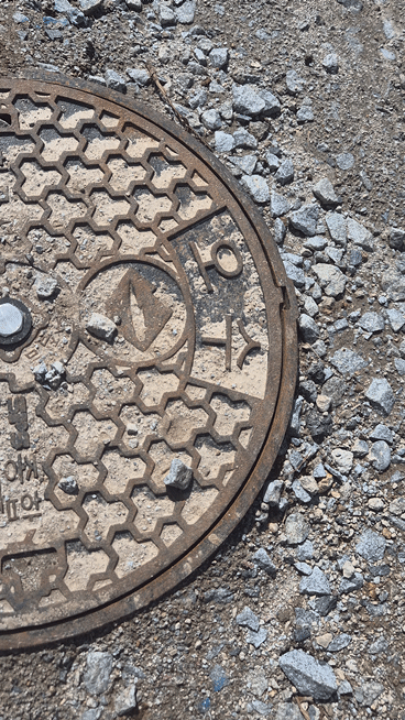 KakaoTalk_20260406_233300546_02.gif