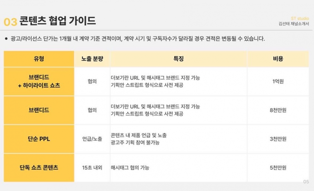 김선태 채널소개서_용역비.png