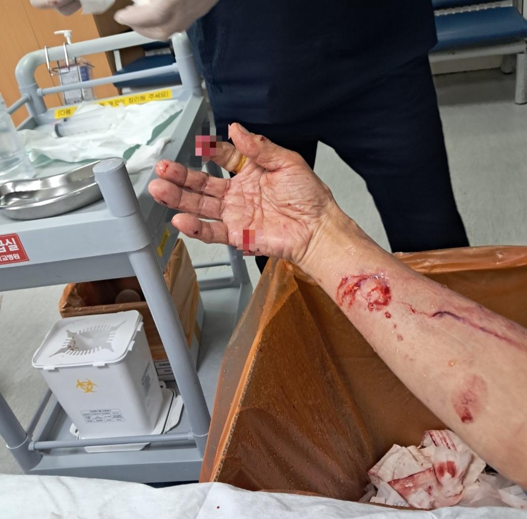 클릭하시면 원본 이미지를 보실 수 있습니다.