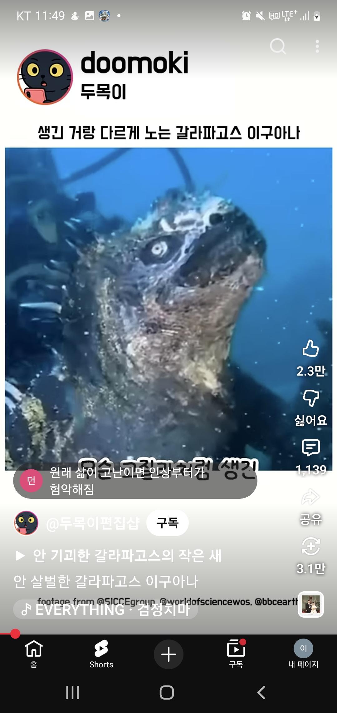 Screenshot_20260408_234926_YouTube.jpg