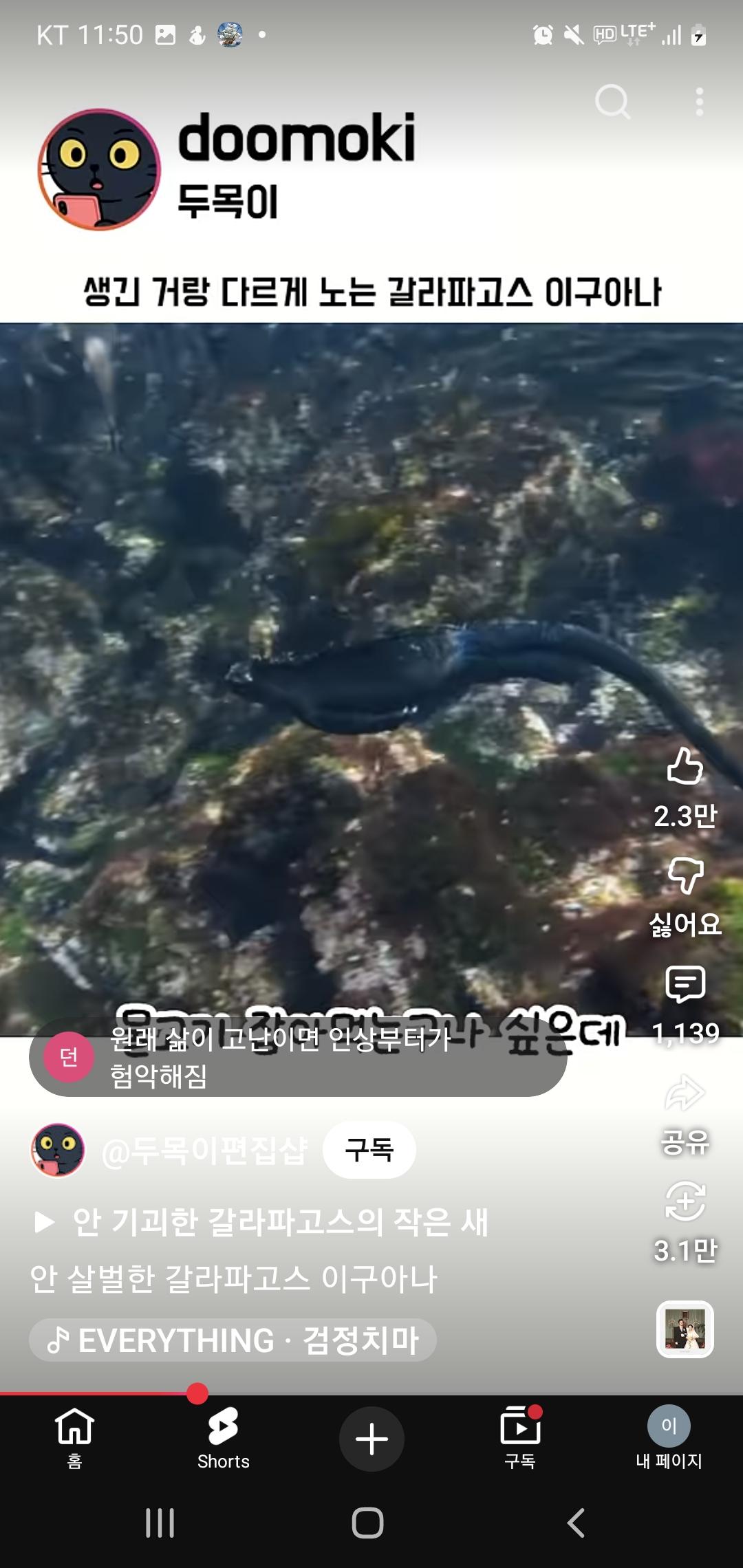 Screenshot_20260408_235003_YouTube.jpg