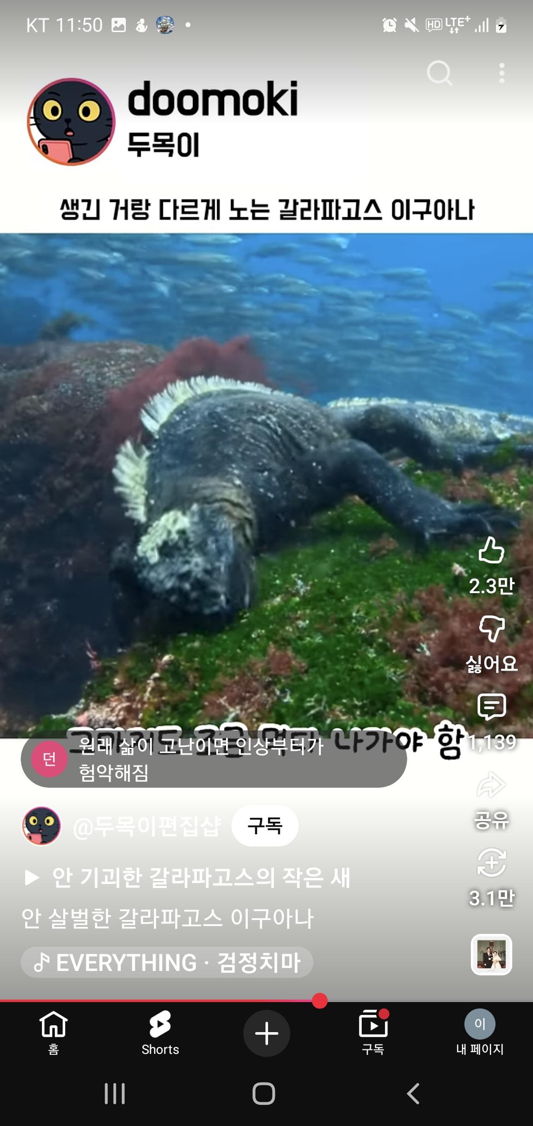 Screenshot_20260408_235014_YouTube.jpg