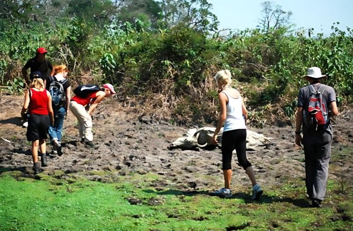 화면 캡처 2026-04-08 135134.jpg