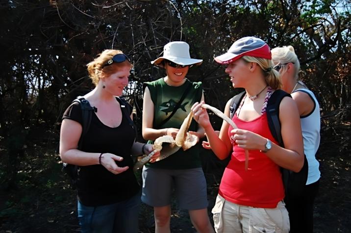 화면 캡처 2026-04-08 135029.jpg