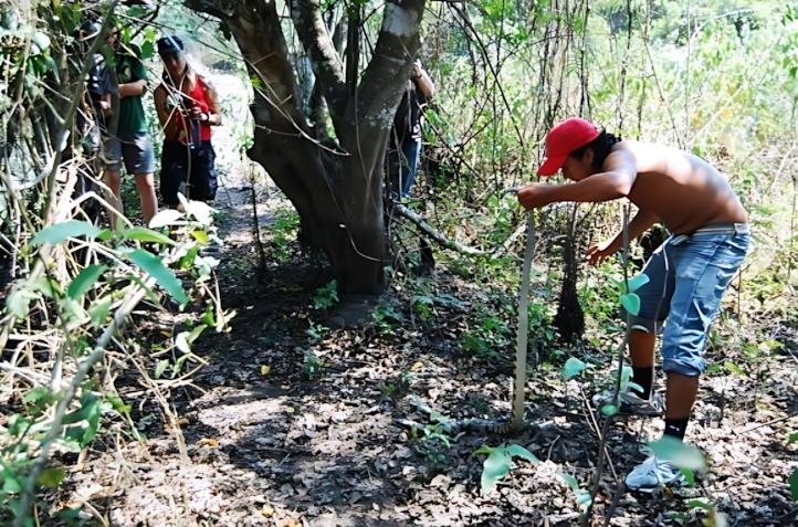 화면 캡처 2026-04-08 135234.jpg