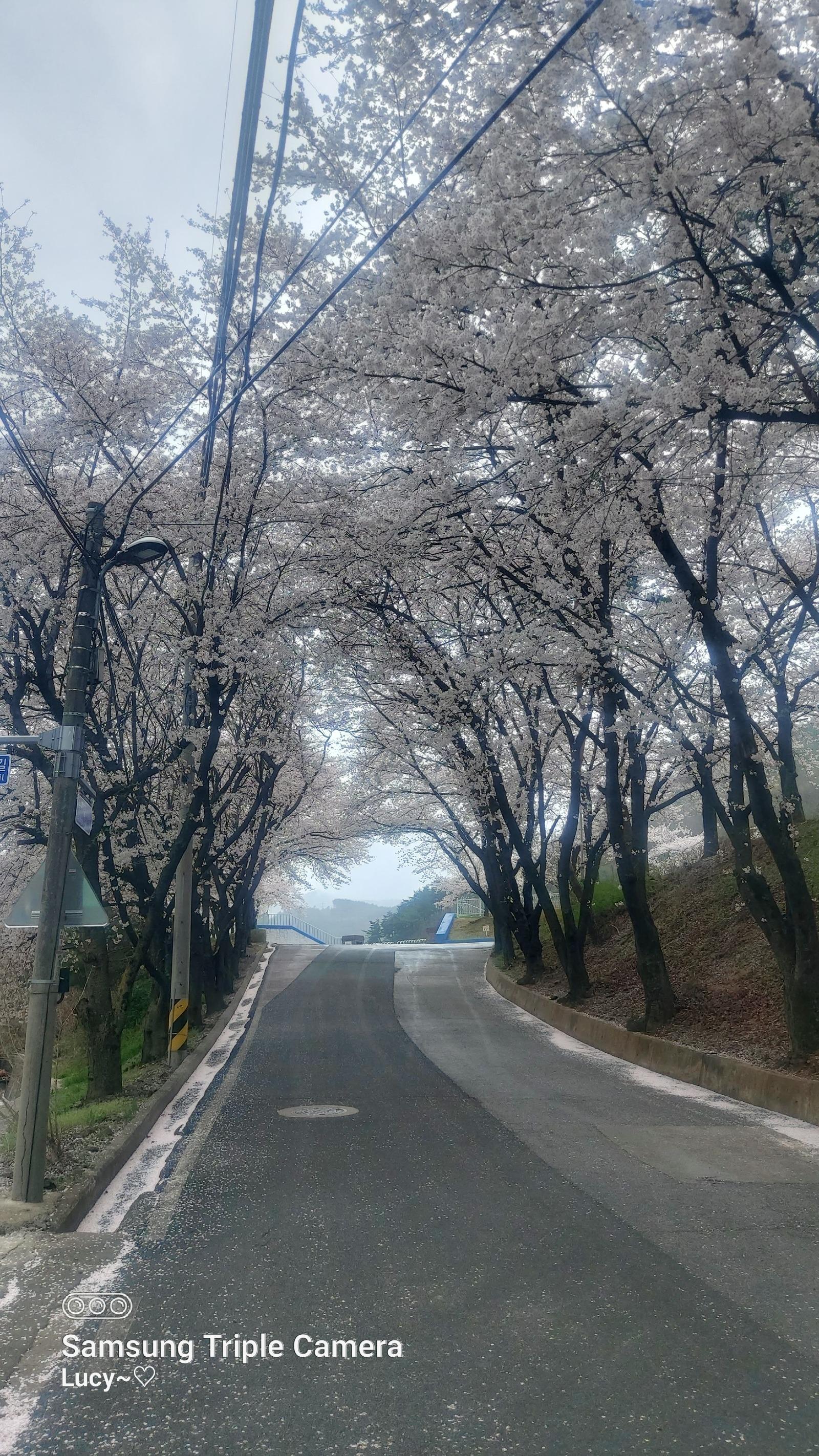 20260409_144652.jpg