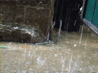 coco3303_20080806210534.gif