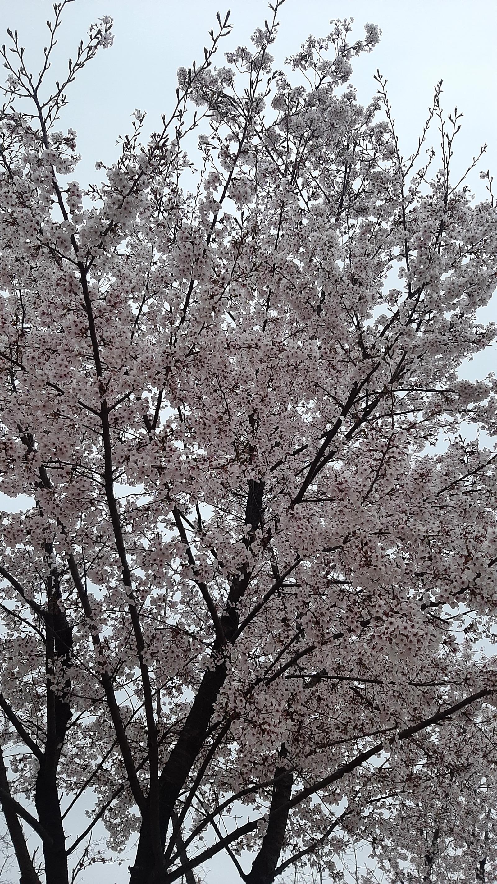 20260410_185601.jpg
