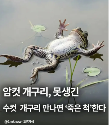 1000067790.webp
