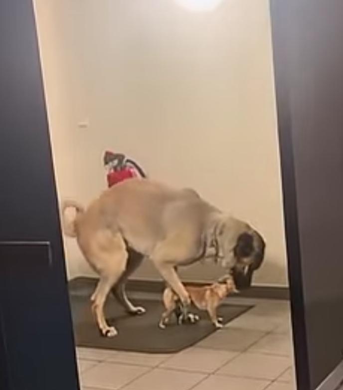 클릭하시면 원본 이미지를 보실 수 있습니다.