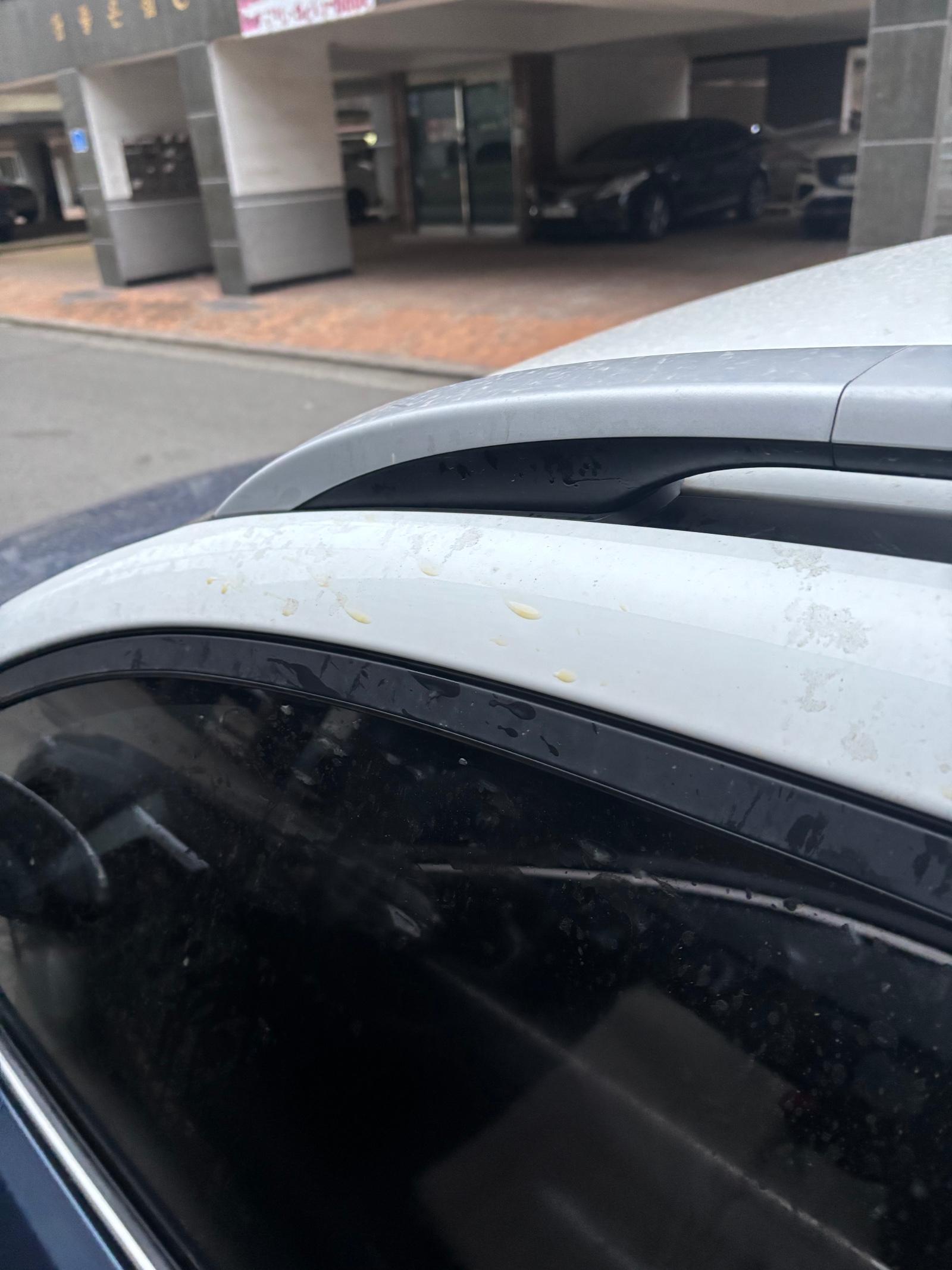 IMG_6997.jpeg