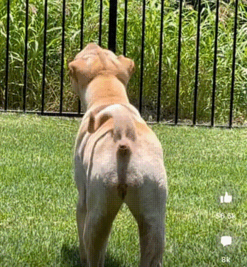 scw31767271098_1741518255.gif