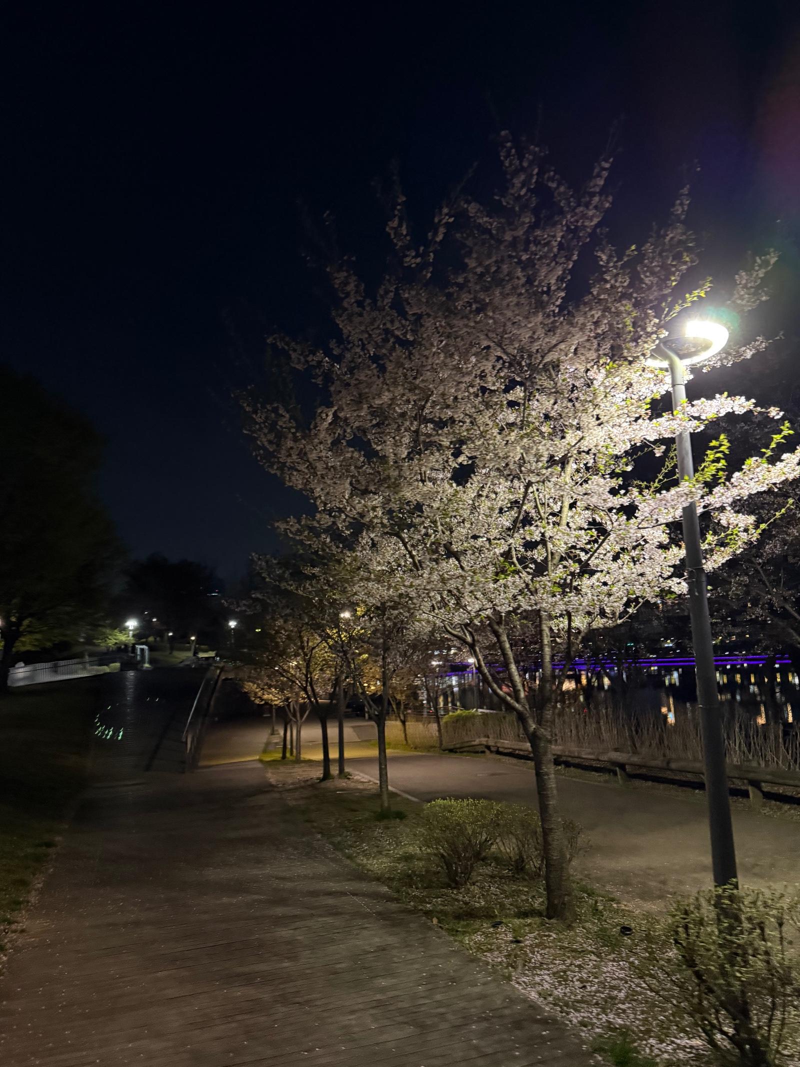 IMG_7124.jpeg