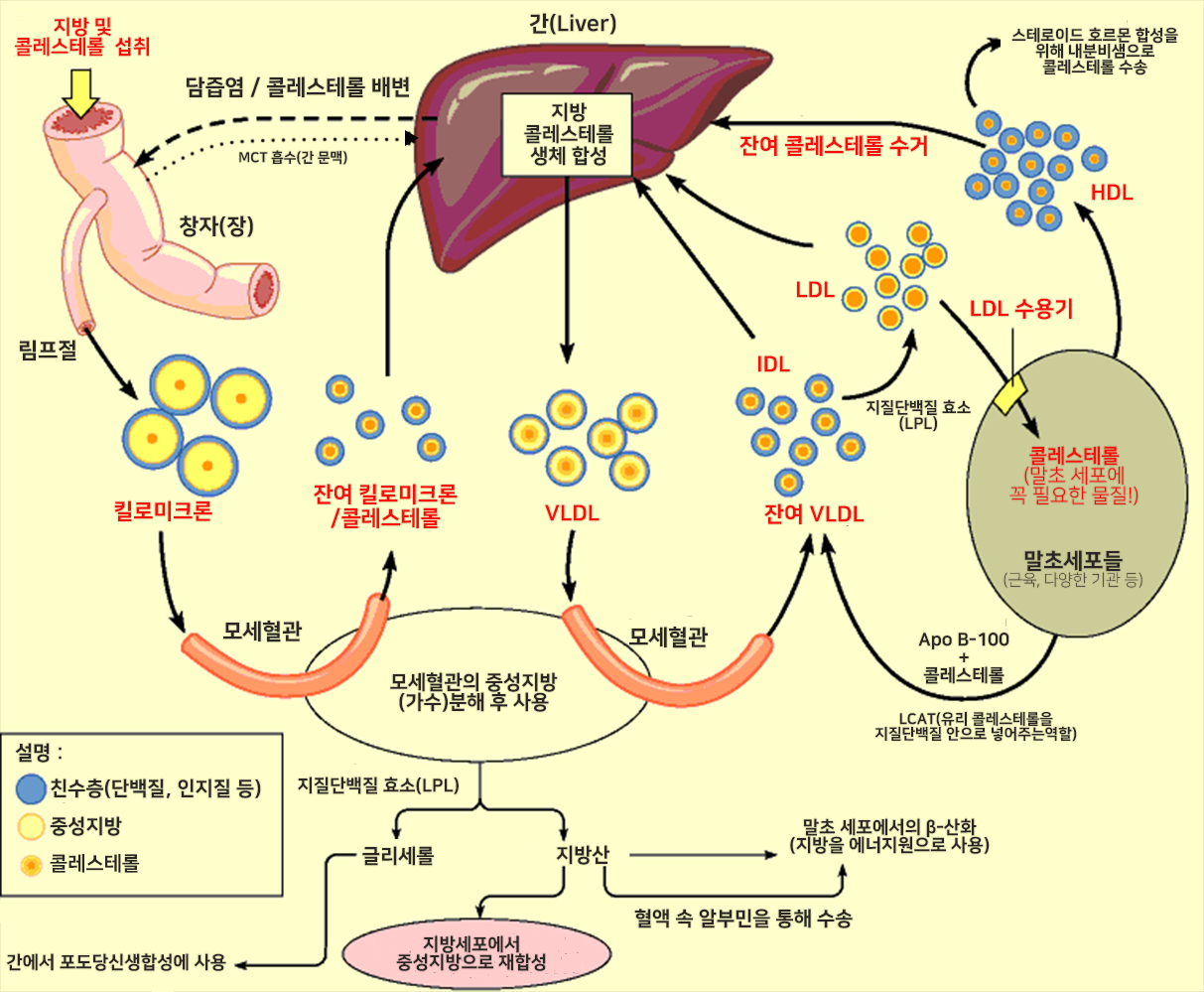 다운로드.png