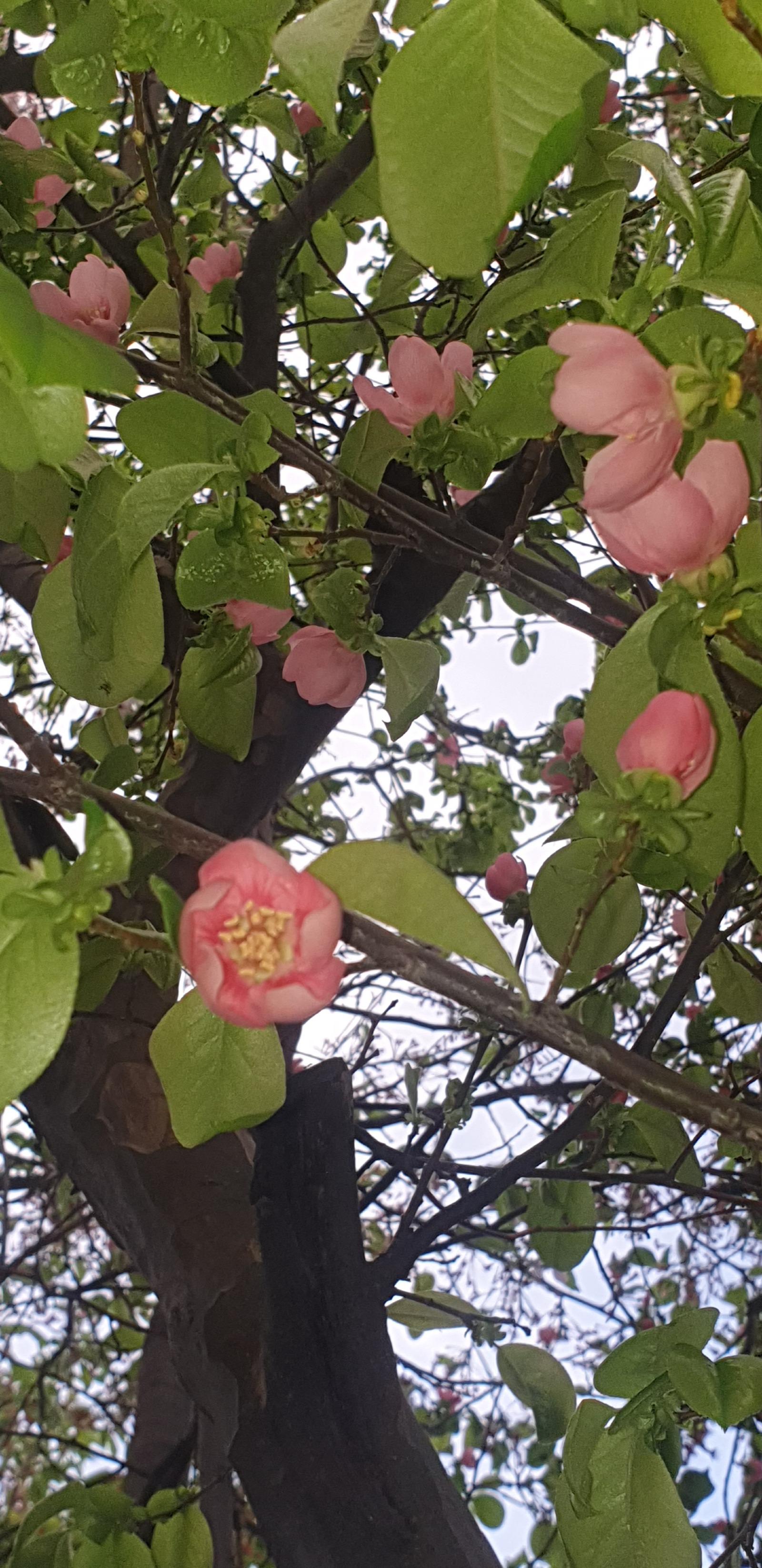 20260413_184630.jpg