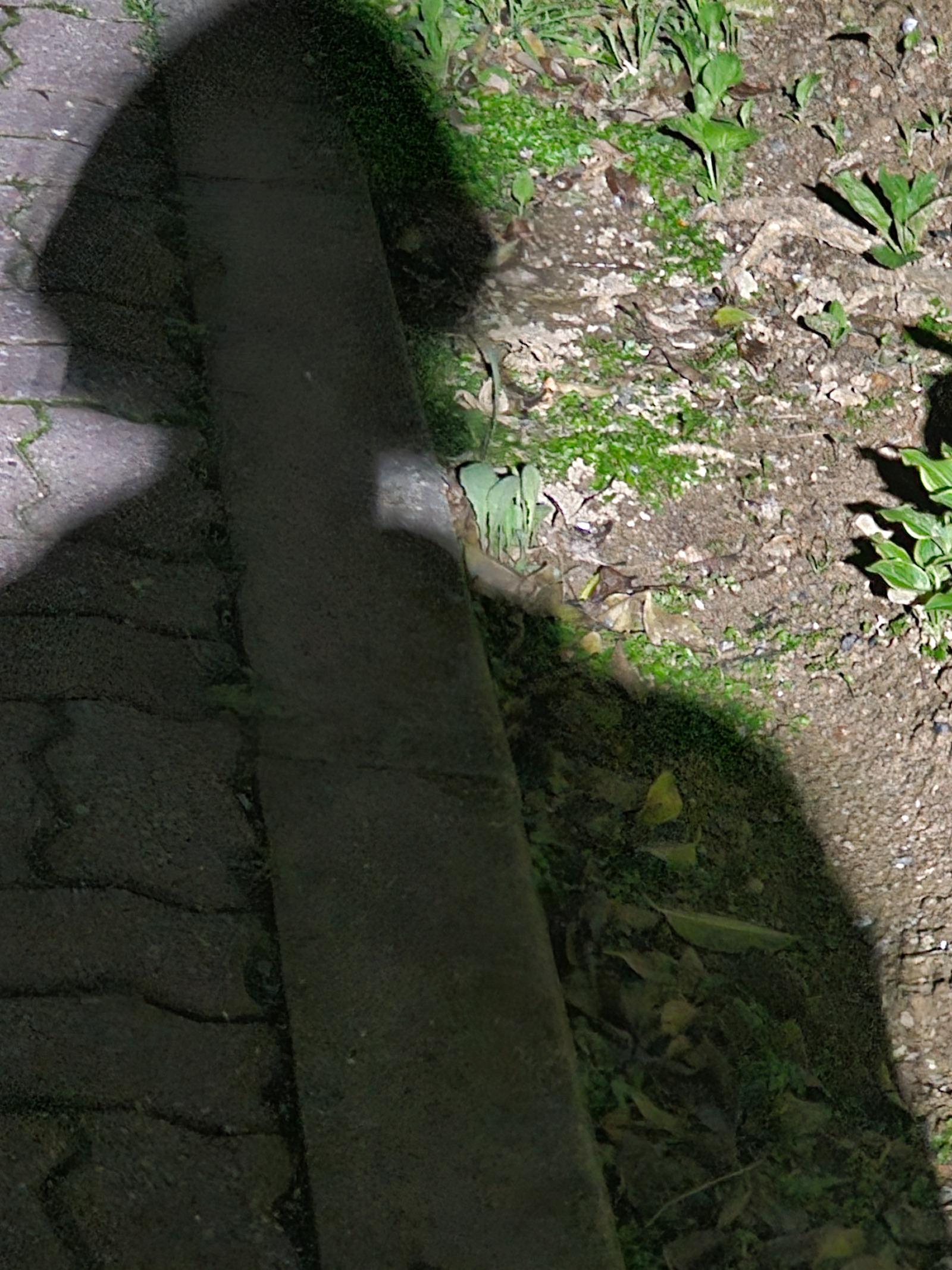 20260413_215045.jpg