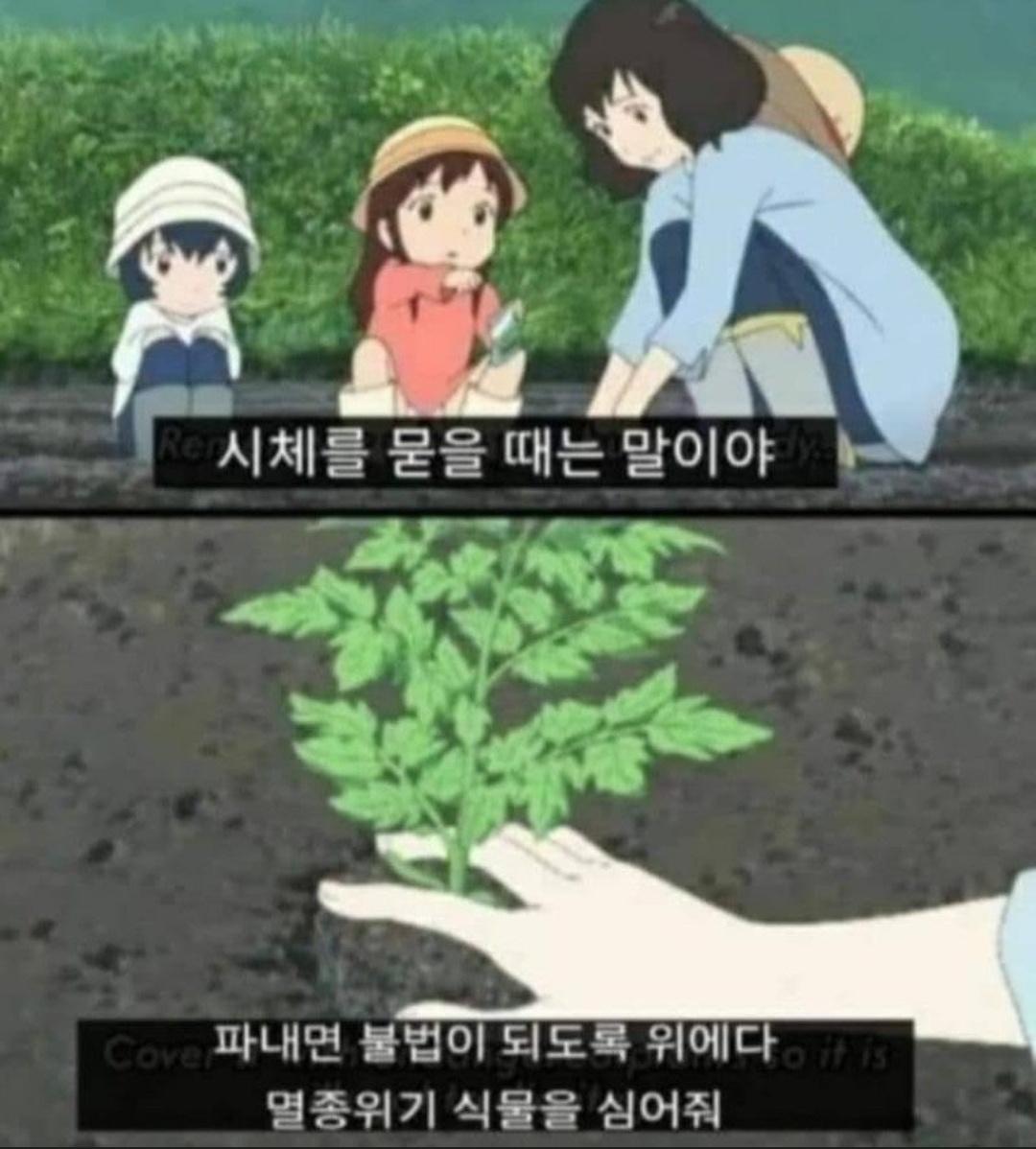 s0AXW69g4th6srbl9g.jpg