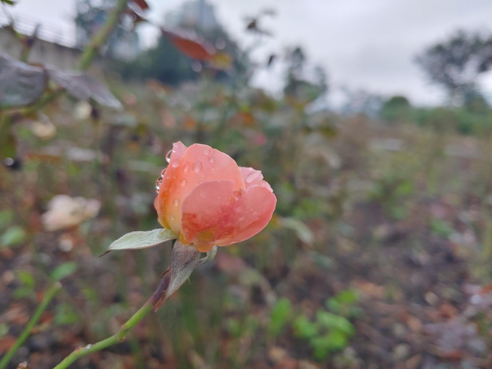 20251006_162517_HDR.jpg