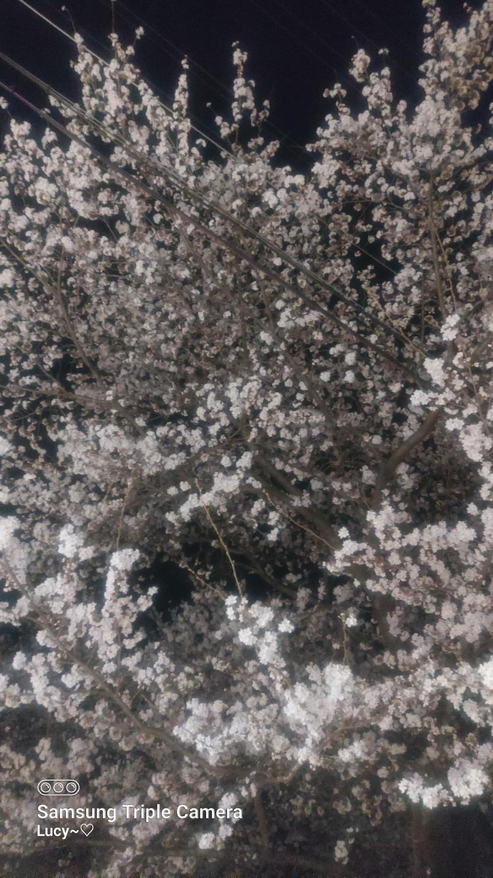20260415_004539.jpg