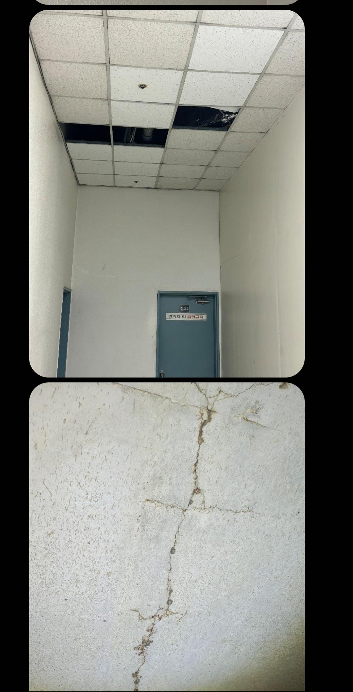 1000072951.jpg