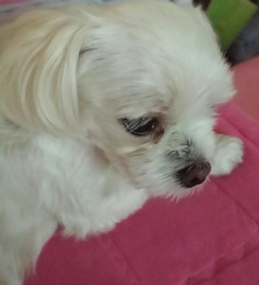 Screenshot_20260415_215136_KakaoTalk.jpg