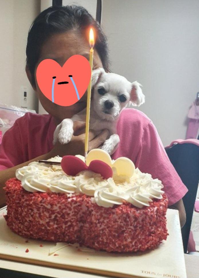Screenshot_20260415_214817_KakaoTalk.jpg
