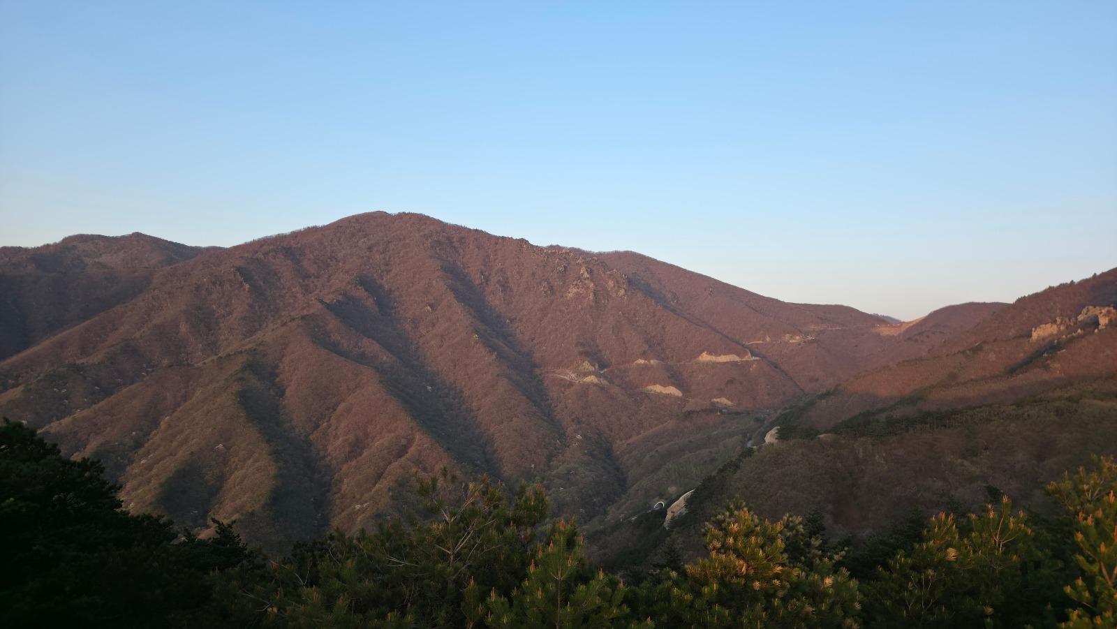 20260418_060023.jpg