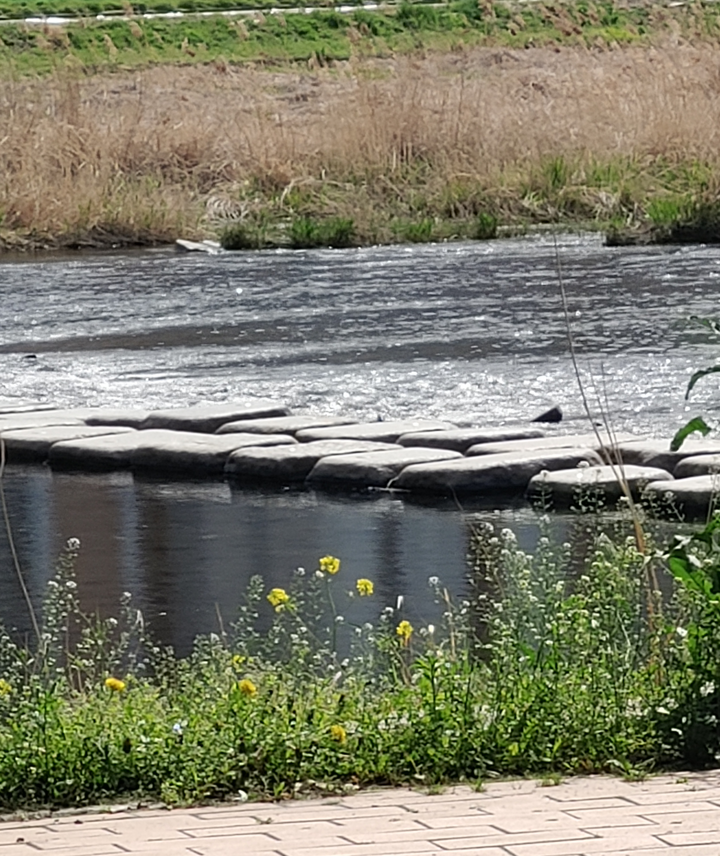 Ŭ���Ͻø� ���� �̹����� ���� �� �ֽ��ϴ�.