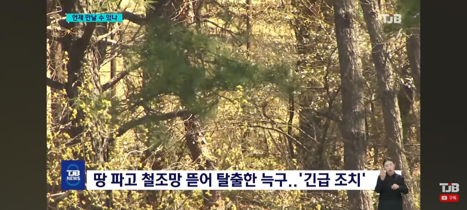 Ŭ���Ͻø� ���� �̹����� ���� �� �ֽ��ϴ�.