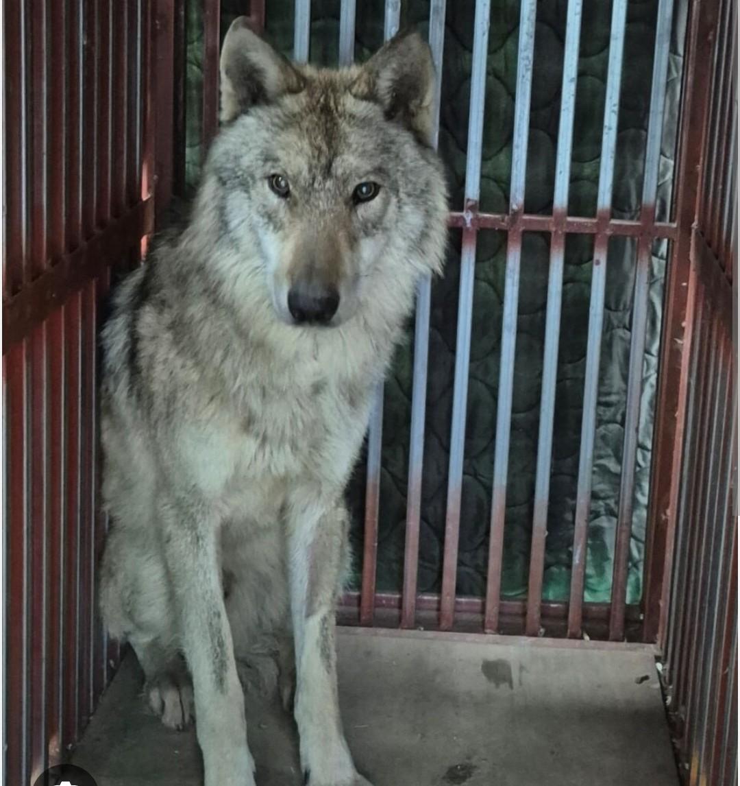 Ŭ���Ͻø� ���� �̹����� ���� �� �ֽ��ϴ�.