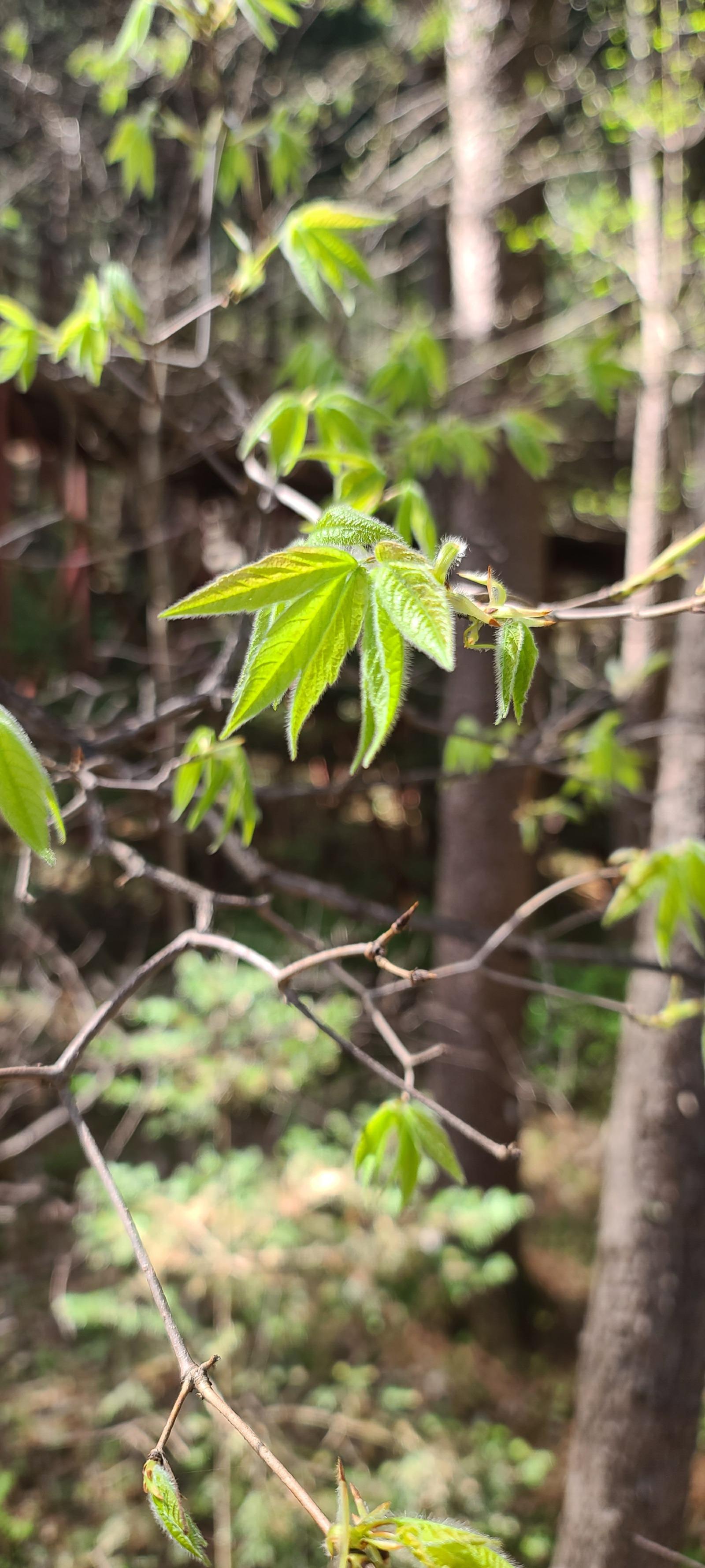 Ŭ���Ͻø� ���� �̹����� ���� �� �ֽ��ϴ�.