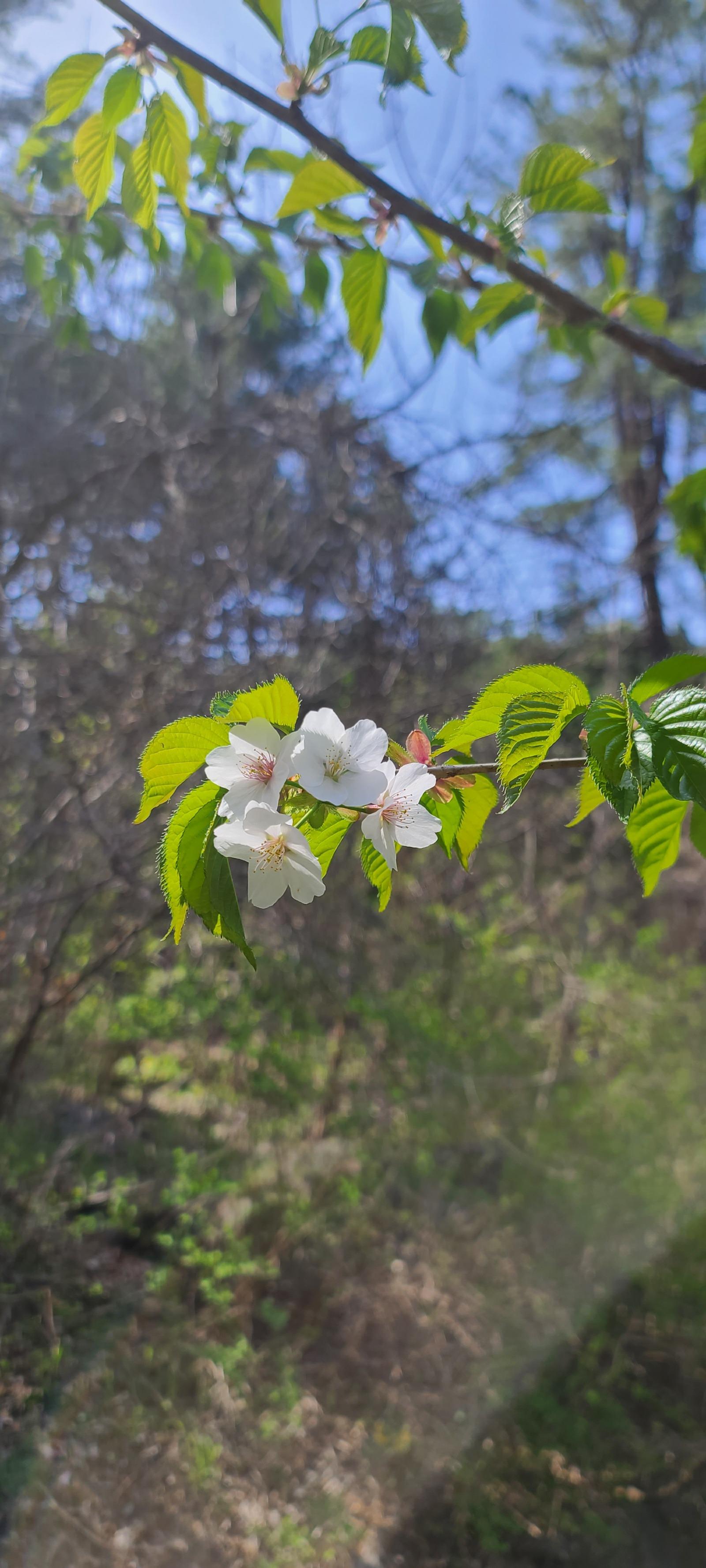 Ŭ���Ͻø� ���� �̹����� ���� �� �ֽ��ϴ�.