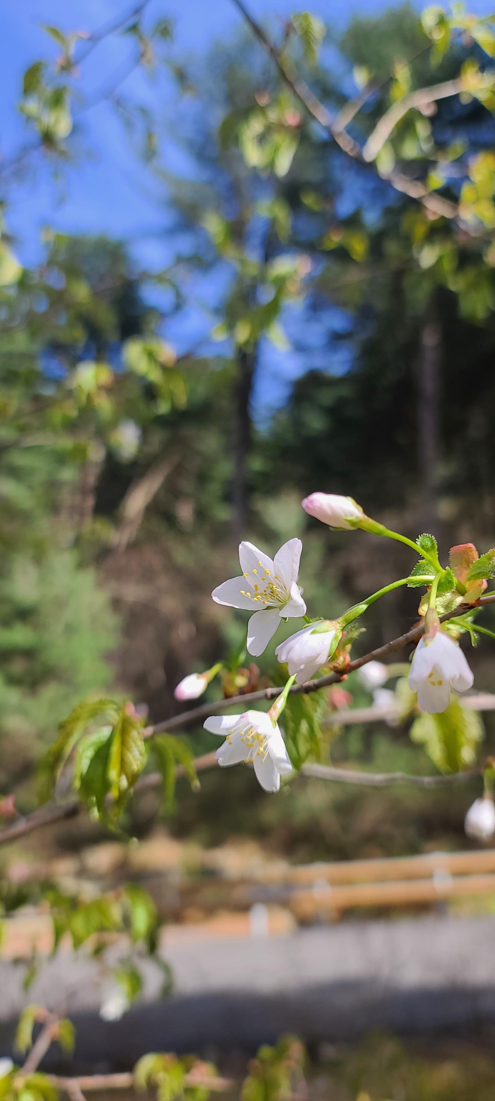 Ŭ���Ͻø� ���� �̹����� ���� �� �ֽ��ϴ�.