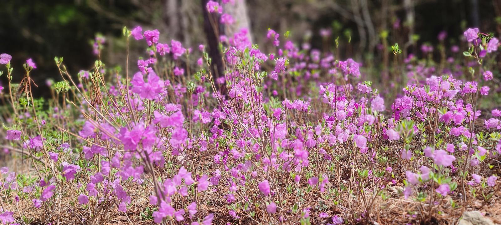 Ŭ���Ͻø� ���� �̹����� ���� �� �ֽ��ϴ�.