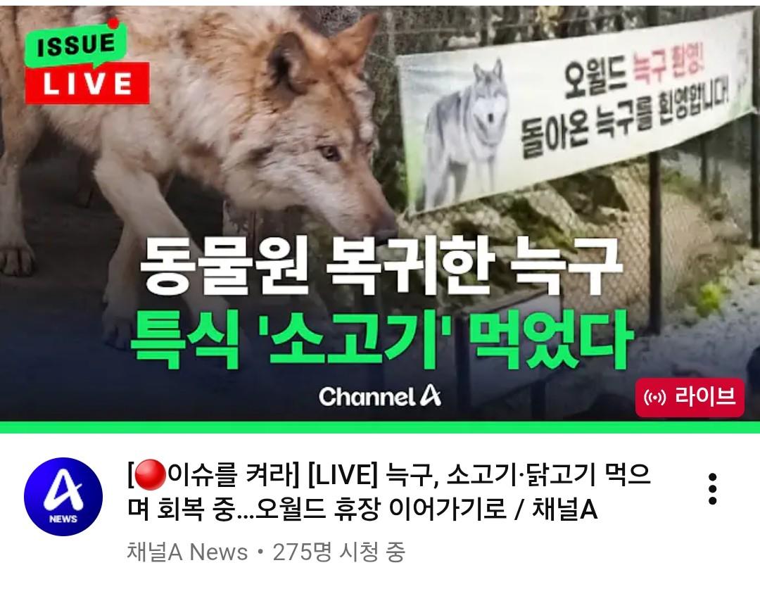 Ŭ���Ͻø� ���� �̹����� ���� �� �ֽ��ϴ�.