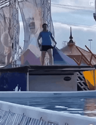 zall1774394532_996846108.gif