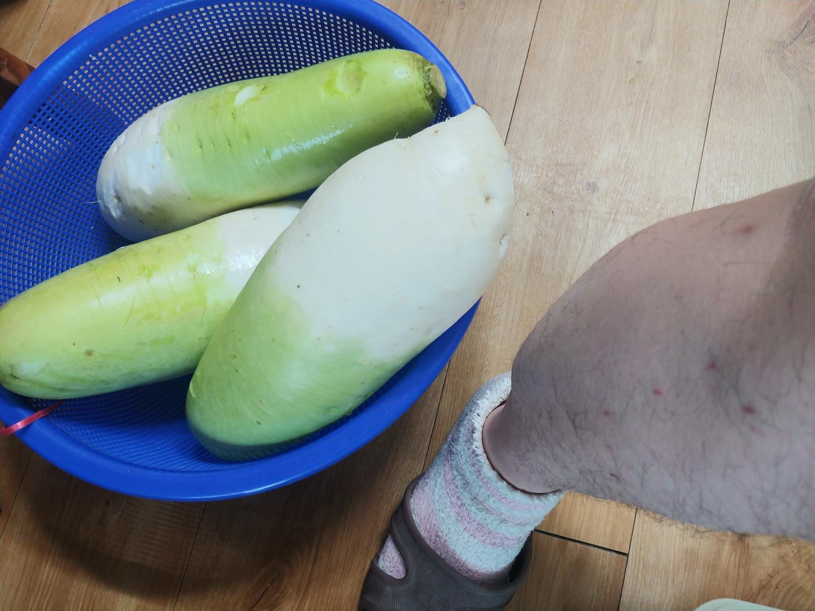 20260417_104501.jpg