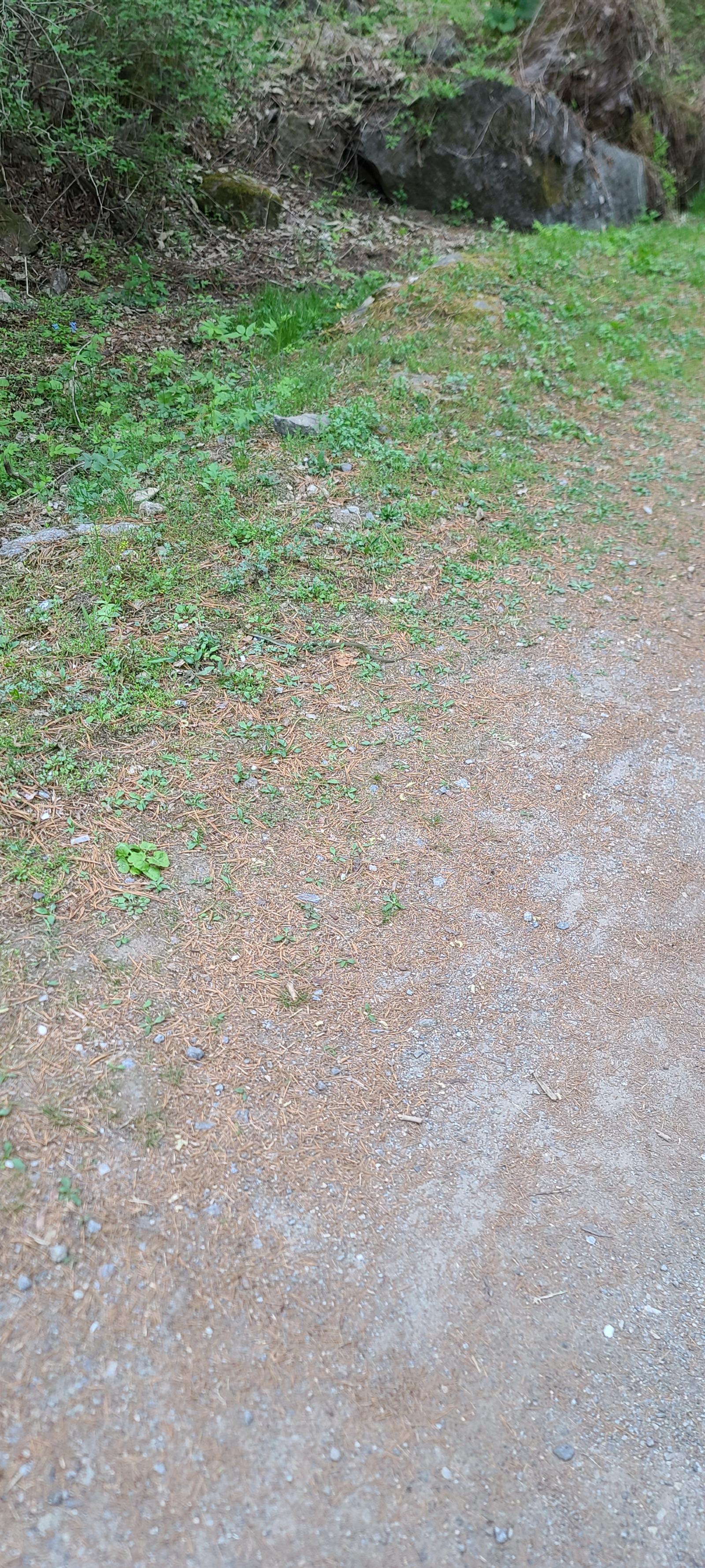20260419_165722.jpg