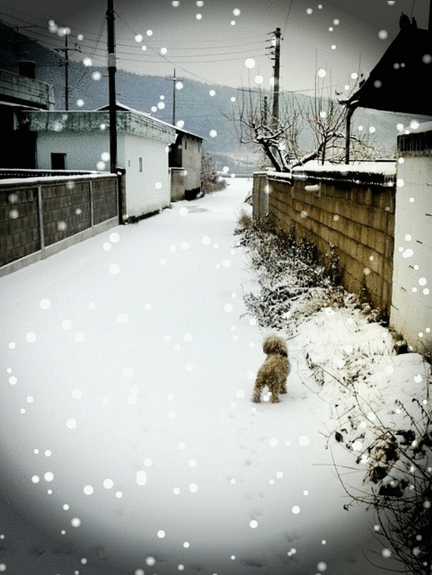 카카오스토리_2025_12_17 00_11_05.gif