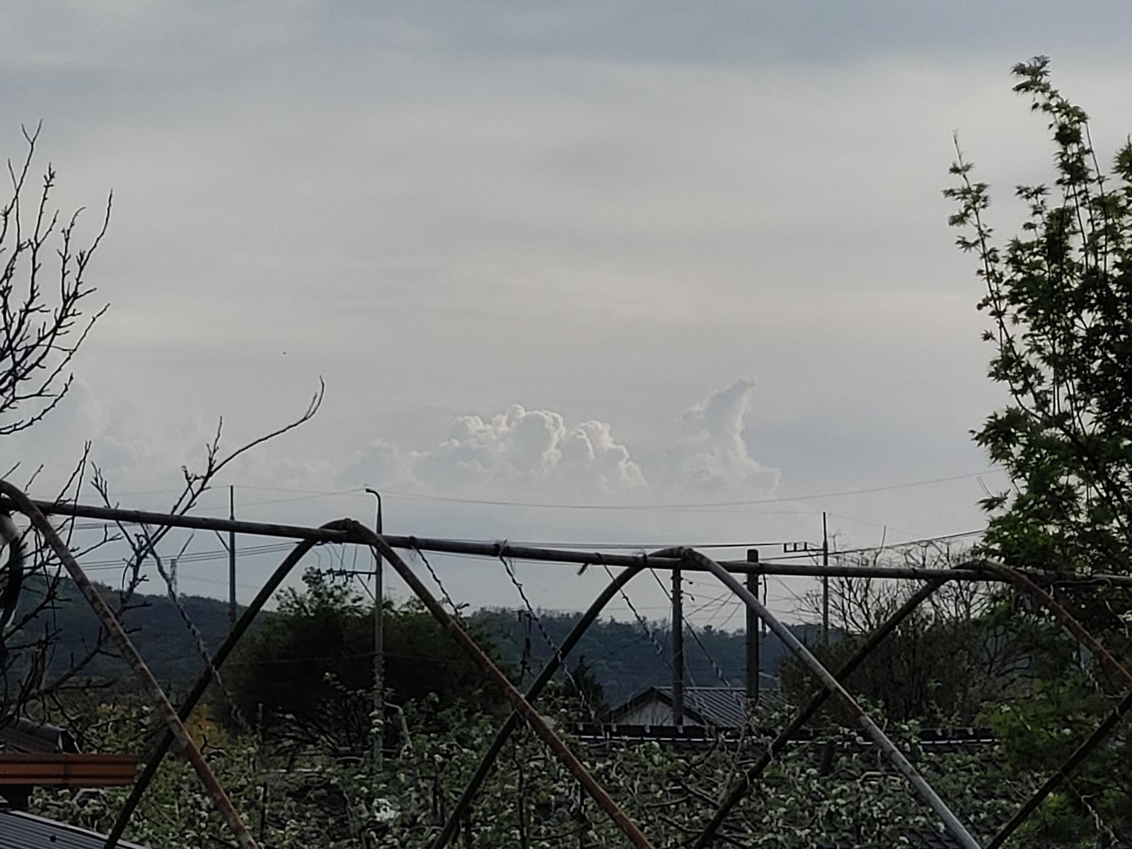 20260419_171019.jpg