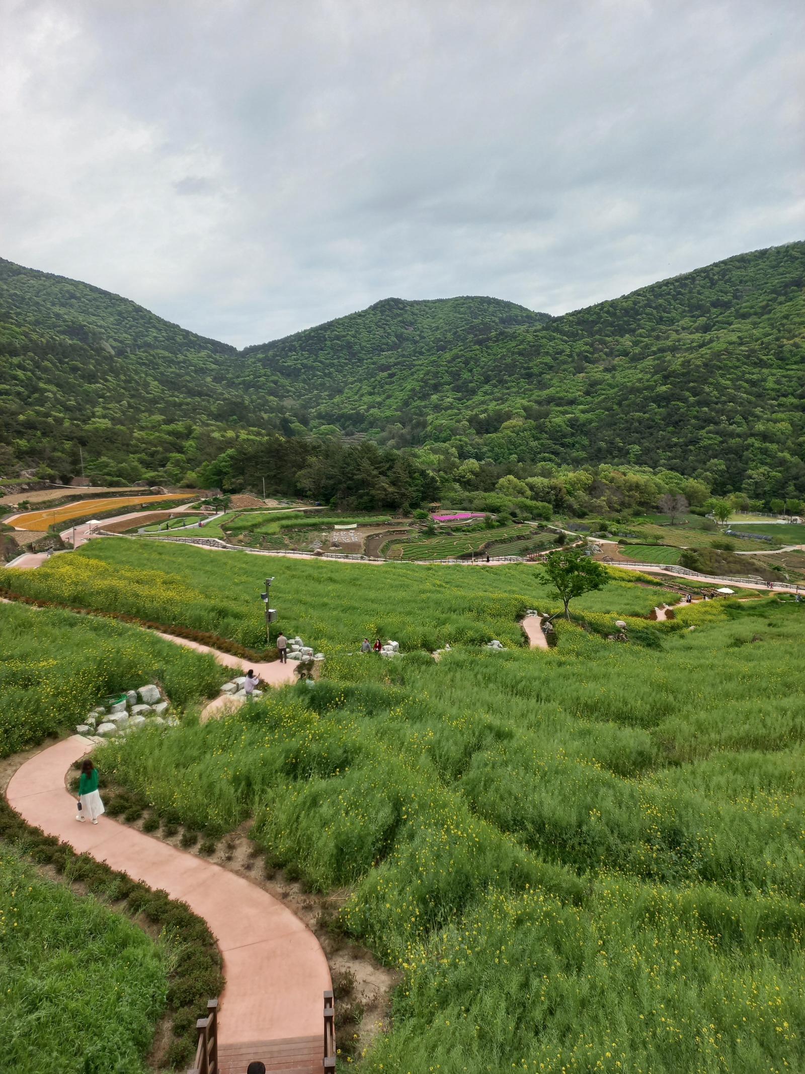 클릭하시면 원본 이미지를 보실 수 있습니다.