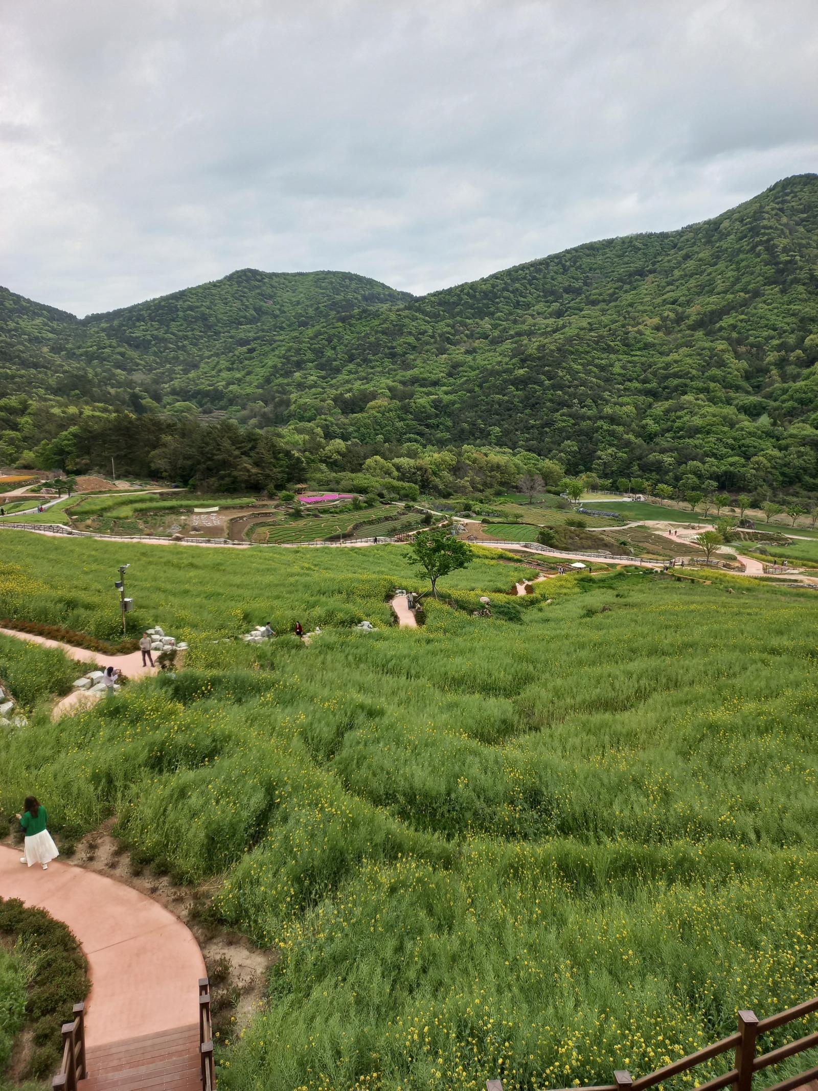 클릭하시면 원본 이미지를 보실 수 있습니다.