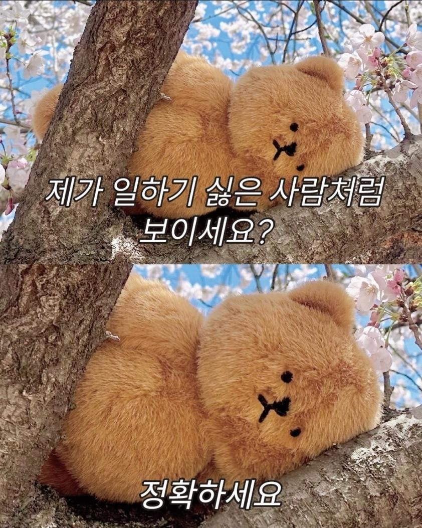 Screenshot_20260420_101533_Instagram.jpg