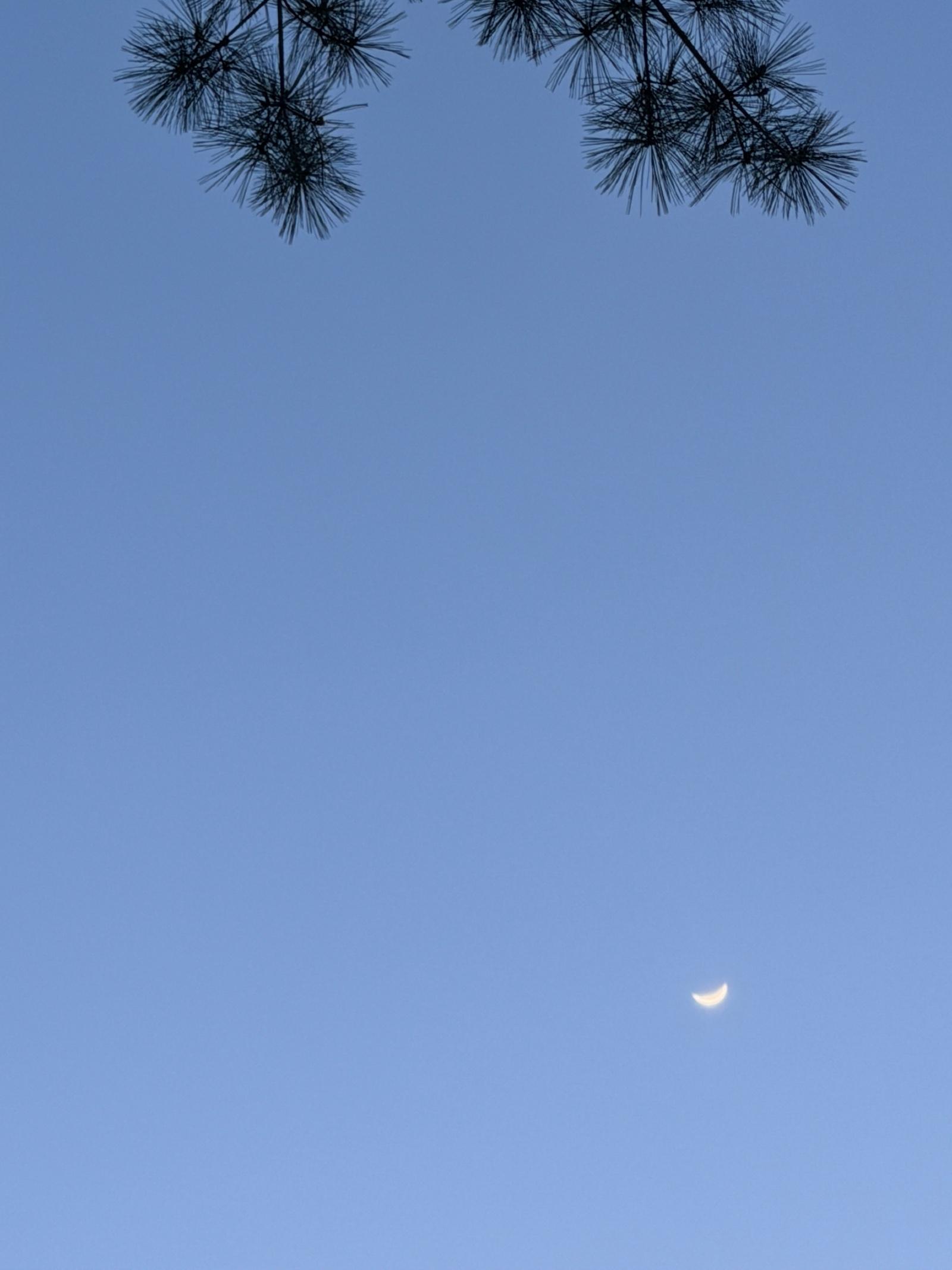 IMG_3405.jpeg