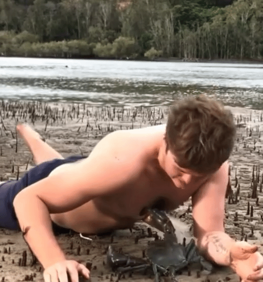 1000067940.gif