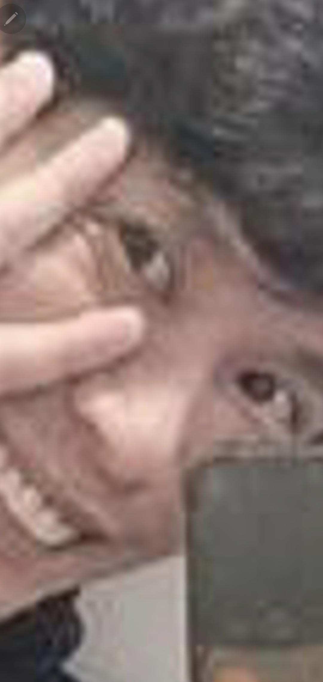 Screenshot_20250802_220435_Gallery.jpg