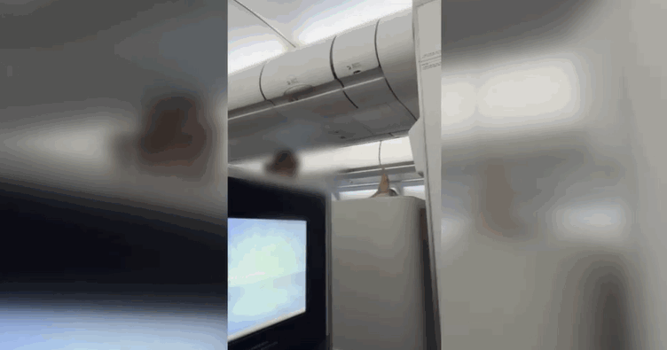 0000488579_002_20260422231817383.gif